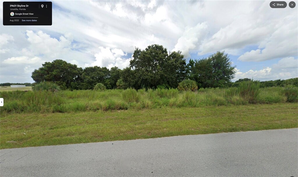 Skyline Dr, Umatilla, FL 32784 - photo 2