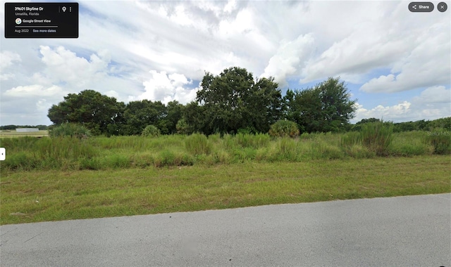 Skyline Dr, Umatilla, FL 32784 - photo 2