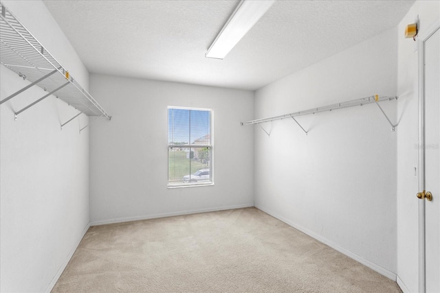 1033 Sabine Pl, Kissimmee, FL 34759 - photo 20