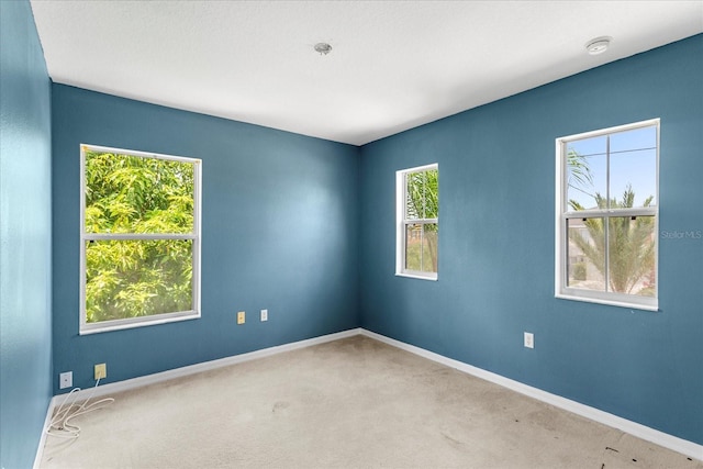 1033 Sabine Pl, Kissimmee, FL 34759 - photo 23