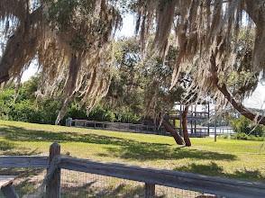 1310 Briarwood Ave, Deltona, FL 32725 - photo 42