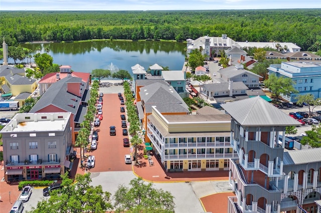 660 Celebration Ave Unit 250, Kissimmee, FL 34747 - bird's eye view of a forest and a nearby body of water
