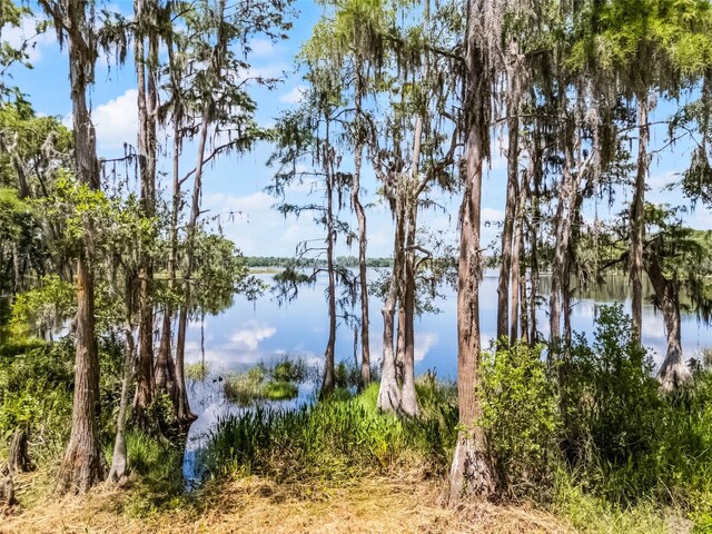 9642 Florida Boys Ranch Rd, Clermont, FL 34711 - photo 31