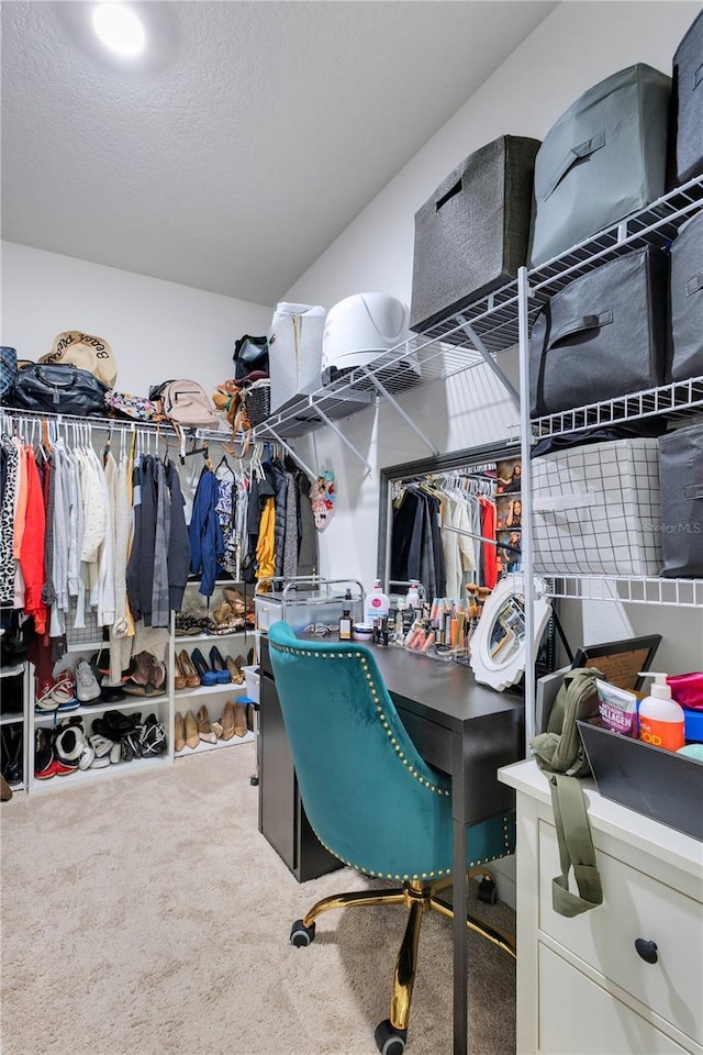 633 Greymount St, Davenport, FL 33837 - walk in closet with carpet