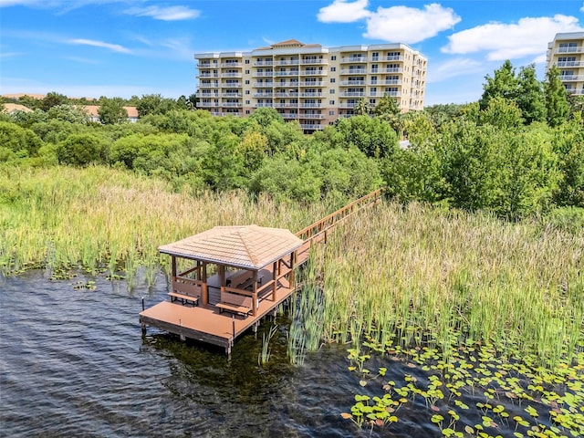 6336 Buford St Unit 209, Orlando, FL 32835 - dock area featuring a water view