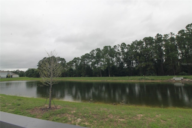 17426 Saw Palmetto Ave, Clermont, FL 34714 - photo 52