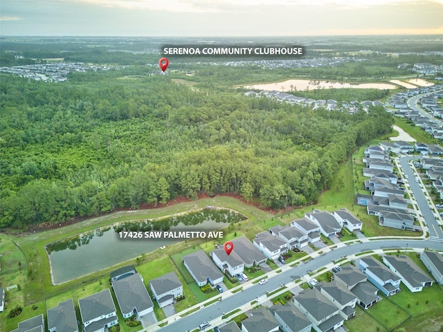 17426 Saw Palmetto Ave, Clermont, FL 34714 - photo 65