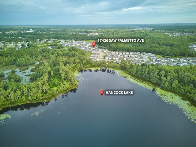 17426 Saw Palmetto Ave, Clermont, FL 34714 - photo 68