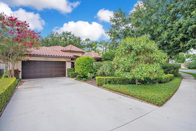 1609 Glen Eagles Way, Orlando, FL 32804 - photo 36