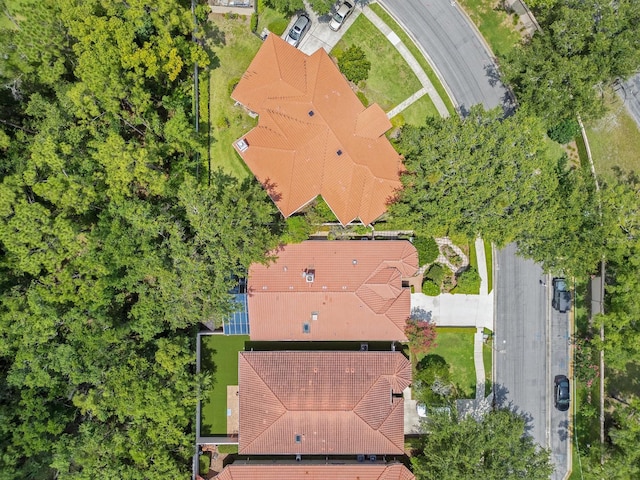 1609 Glen Eagles Way, Orlando, FL 32804 - photo 46