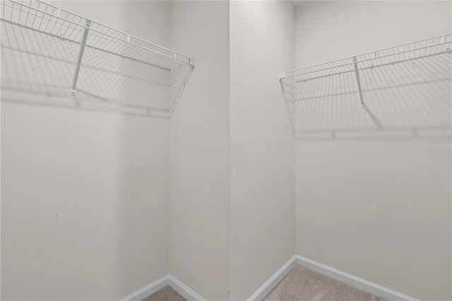 275 Blueberry Ln, Davenport, FL 33837 - walk in closet with carpet floors