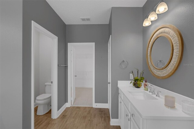 32004 Redtail Reserve Blvd, Sorrento, FL 32776 - bathroom with vanity, a spacious closet, and wood finished floors