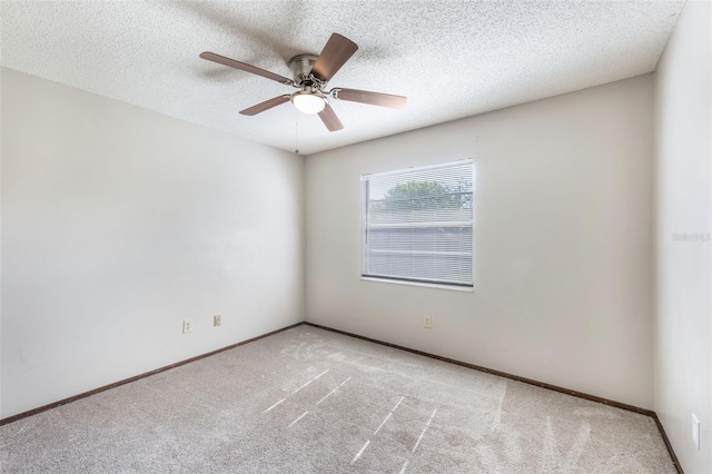 6835 Massa Ct, Orlando, FL 32810 - photo 8