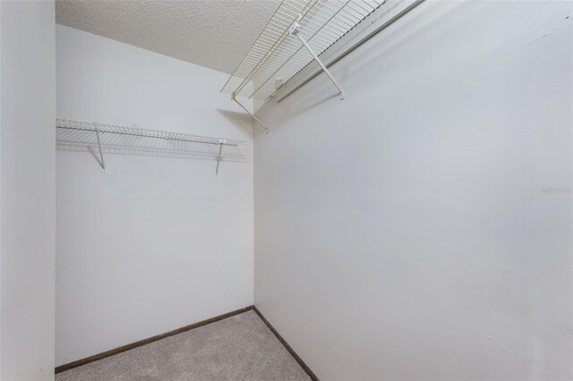6835 Massa Ct, Orlando, FL 32810 - photo 12