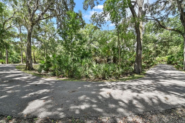 546 Winona Dr, Geneva, FL 32732 - photo 21