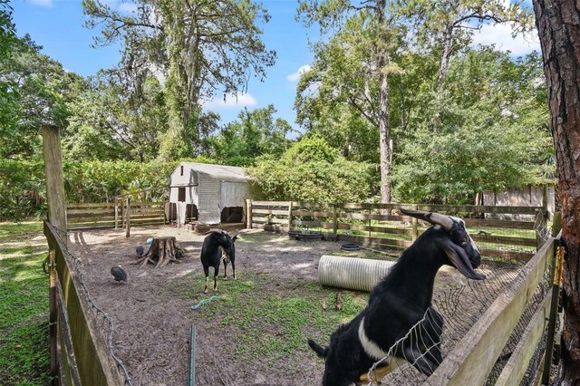 546 Winona Dr, Geneva, FL 32732 - photo 25