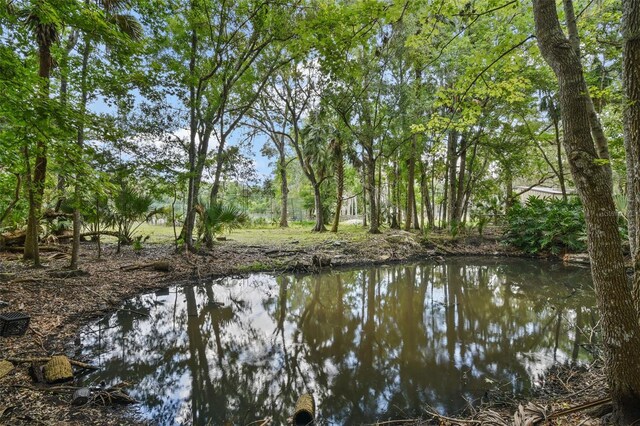 546 Winona Dr, Geneva, FL 32732 - photo 32