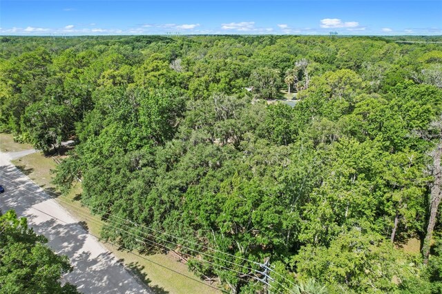546 Winona Dr, Geneva, FL 32732 - photo 38