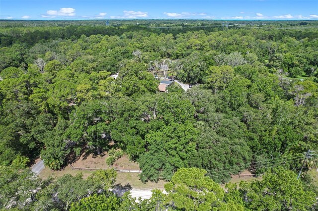 546 Winona Dr, Geneva, FL 32732 - photo 39