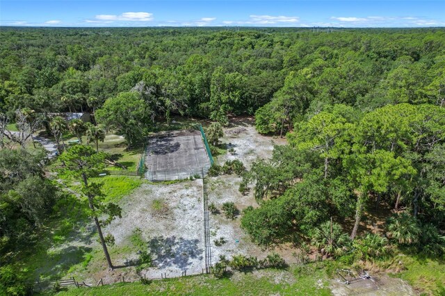 546 Winona Dr, Geneva, FL 32732 - photo 42