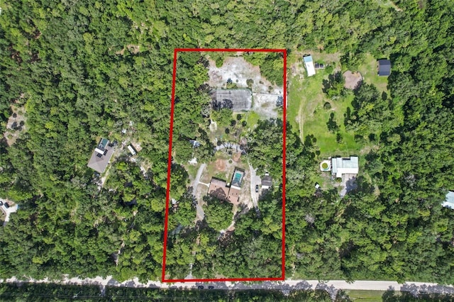 546 Winona Dr, Geneva, FL 32732 - photo 46