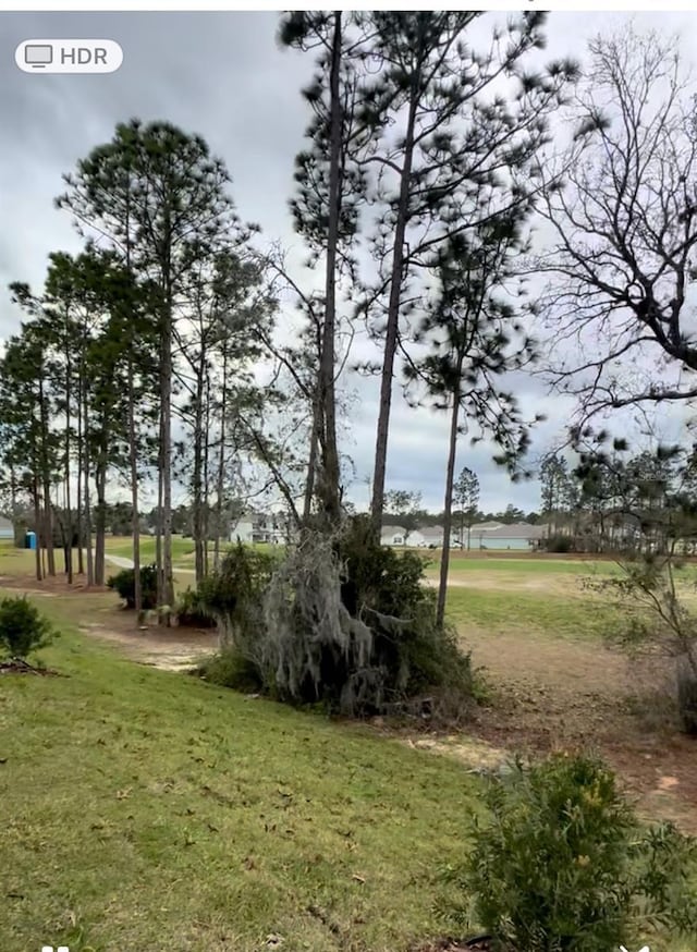 133 Hickory Course Cir, Ocala, FL 34472 - surrounding community featuring a yard