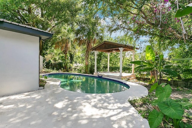 1148 Northcrest Dr, Apopka, FL 32703 - swimming pool with a patio and a fenced backyard