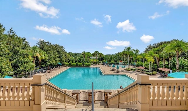 5917 Coquyt Dr, Mount Dora, FL 32757 - community pool with view of wooded area and a patio