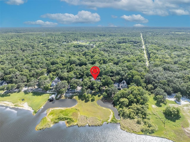 419 Whitcomb Dr, Geneva, FL 32732 - photo 3