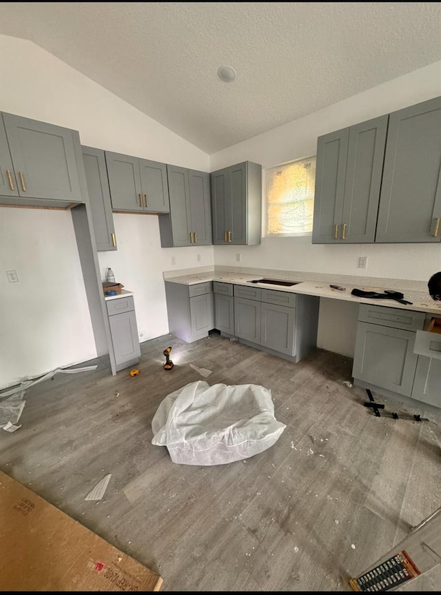 134 W Northside Dr, Lake Wales, FL 33853 - kitchen featuring lofted ceiling, gray cabinets, a textured ceiling, wood finished floors, and light countertops