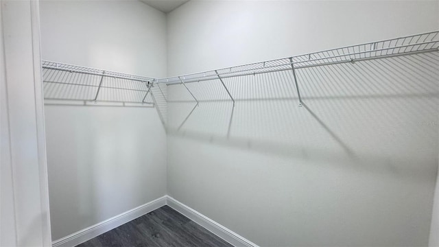 16252 SW 27th Terrace Rd, Ocala, FL 34473 - spacious closet featuring dark wood finished floors