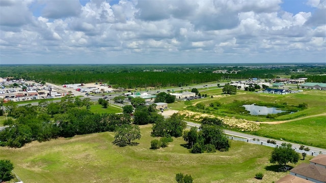 130 Winsor Ave, Davenport, FL 33837 - aerial view of a nearby body of water