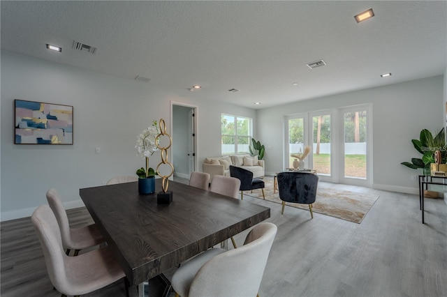 63 W 10th St, Apopka, FL 32703 - dining space with light wood-type flooring, recessed lighting, and a textured ceiling