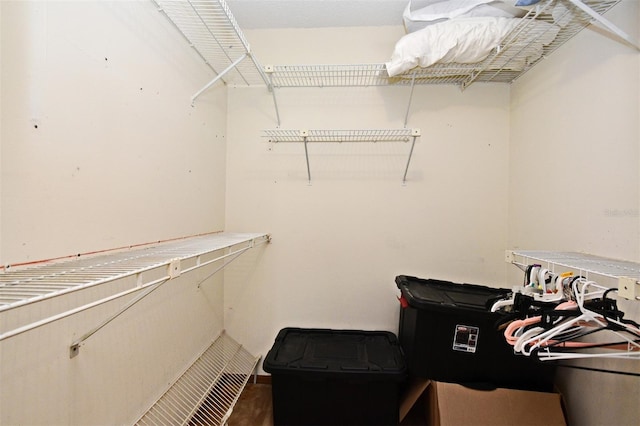 173 Tollgate Br, Longwood, FL 32750 - view of walk in closet