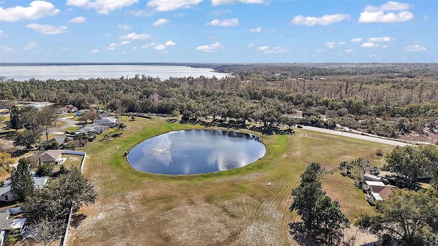 12419 Eryn Ct, Clermont, FL 34711 - aerial view of a large body of water