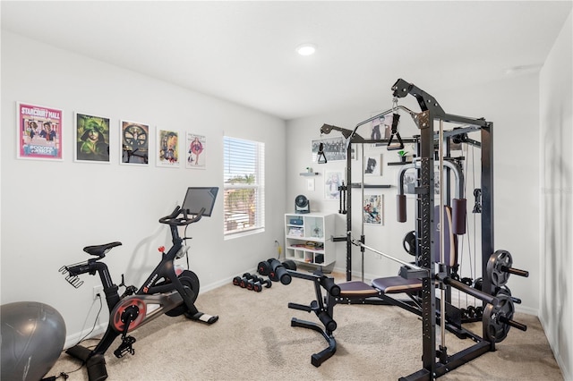 9024 Alba Ln, Kissimmee, FL 34747 - exercise room featuring carpet