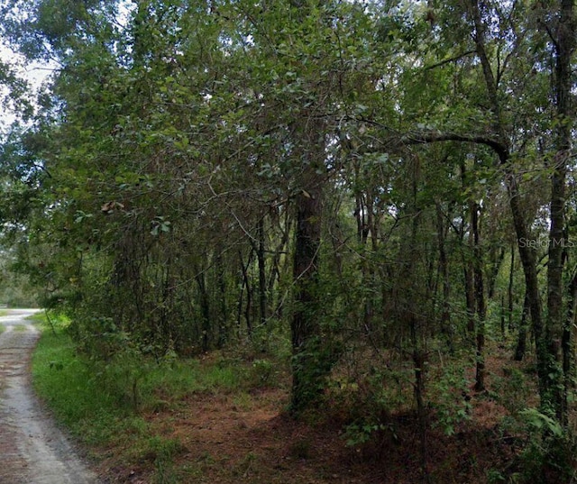 0 Posen St, New Port Richey, FL 34654