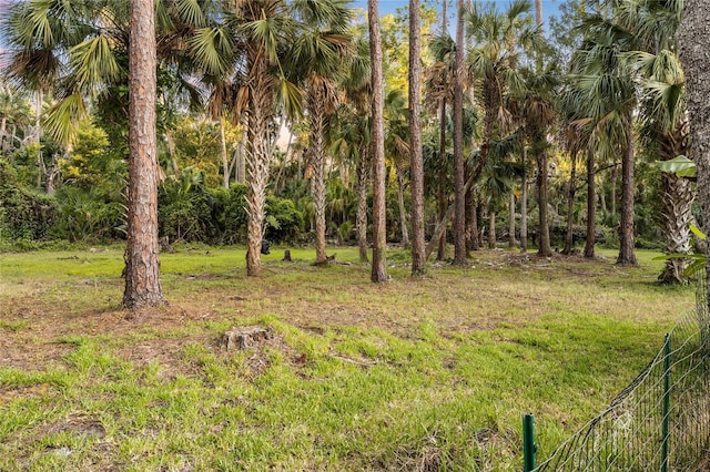 1443 Stone Trl, Enterprise, FL 32725 - view of grassy yard