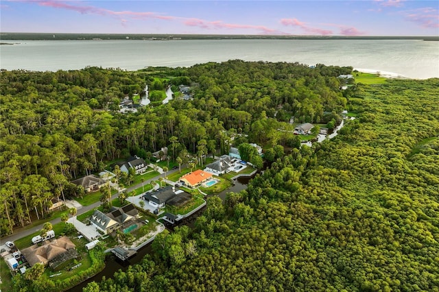 1443 Stone Trl, Enterprise, FL 32725 - bird's eye view of a nearby body of water and a forest