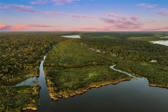 1443 Stone Trl, Enterprise, FL 32725 - aerial view at dusk of a wooded view and a water view