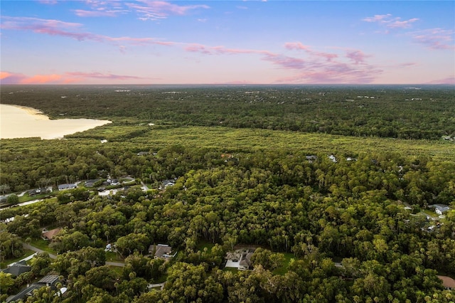 1443 Stone Trl, Enterprise, FL 32725 - aerial view at dusk of a wooded view