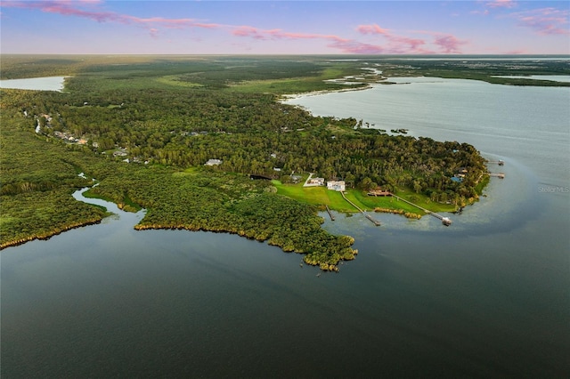 1443 Stone Trl, Enterprise, FL 32725 - aerial view at dusk of a water view and a forest view