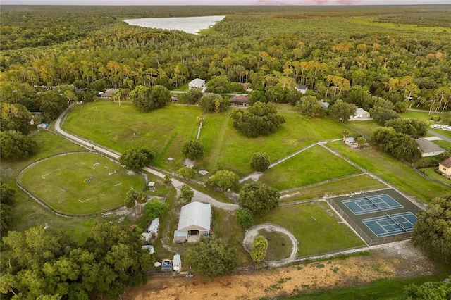 1443 Stone Trl, Enterprise, FL 32725 - aerial view of property's location with a forest