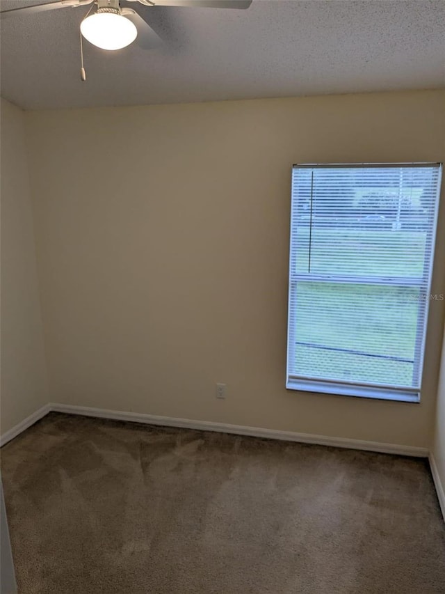 1027 Sheeler Hills Dr, Apopka, FL 32703 - spare room featuring carpet, a ceiling fan, and a textured ceiling