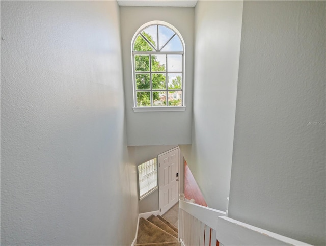 750 Olympic Cir Unit D1, Ocoee, FL 34761 - stairway featuring carpet and baseboards