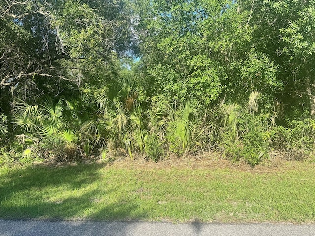 3462 Mentone St, Punta Gorda, FL 33980