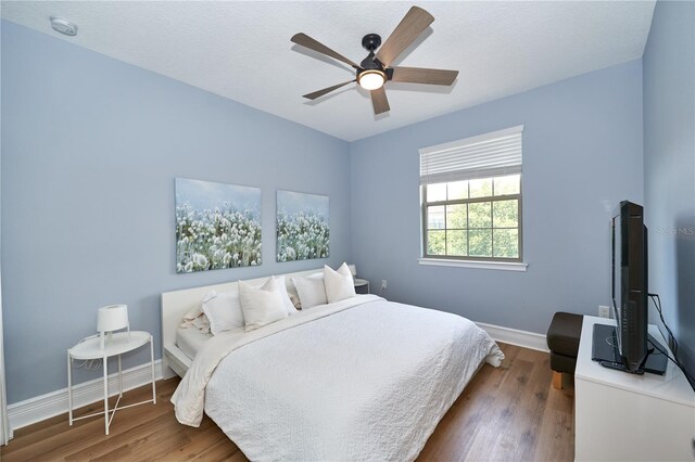 10275 Henbury St, Orlando, FL 32832 - photo 43