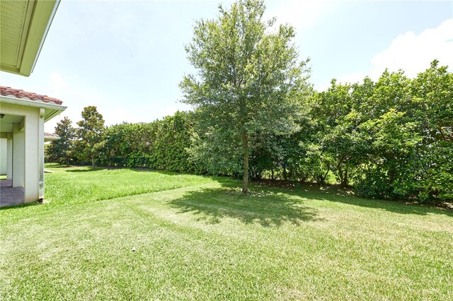 10275 Henbury St, Orlando, FL 32832 - photo 70