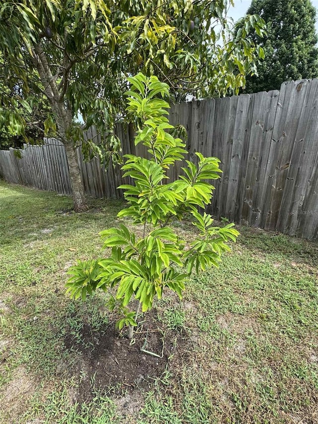 9355 Telfer Run, Orlando, FL 32817 - photo 28