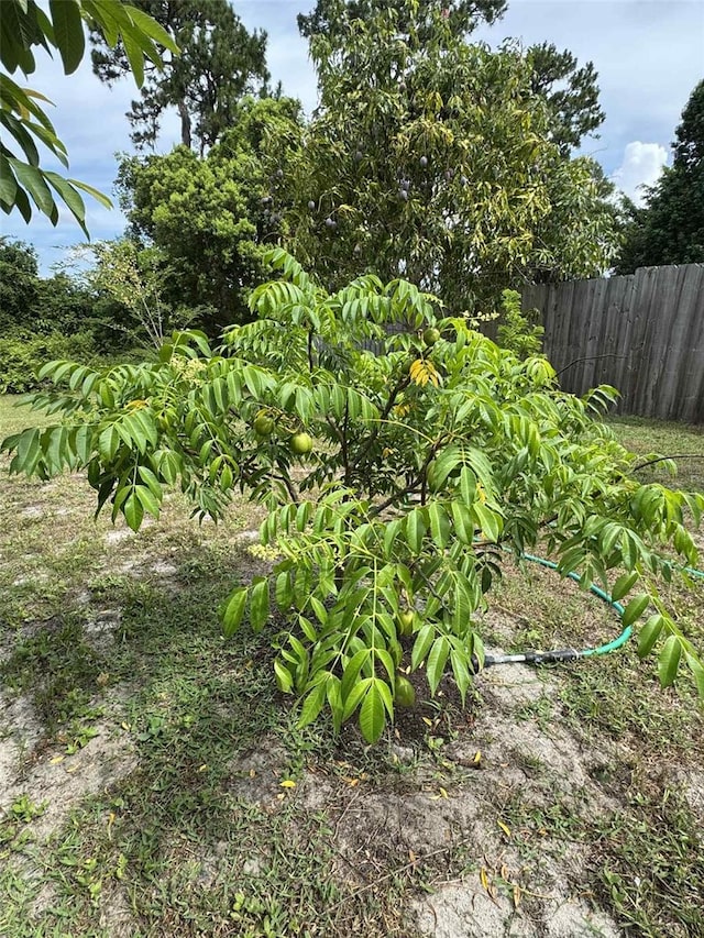 9355 Telfer Run, Orlando, FL 32817 - photo 30